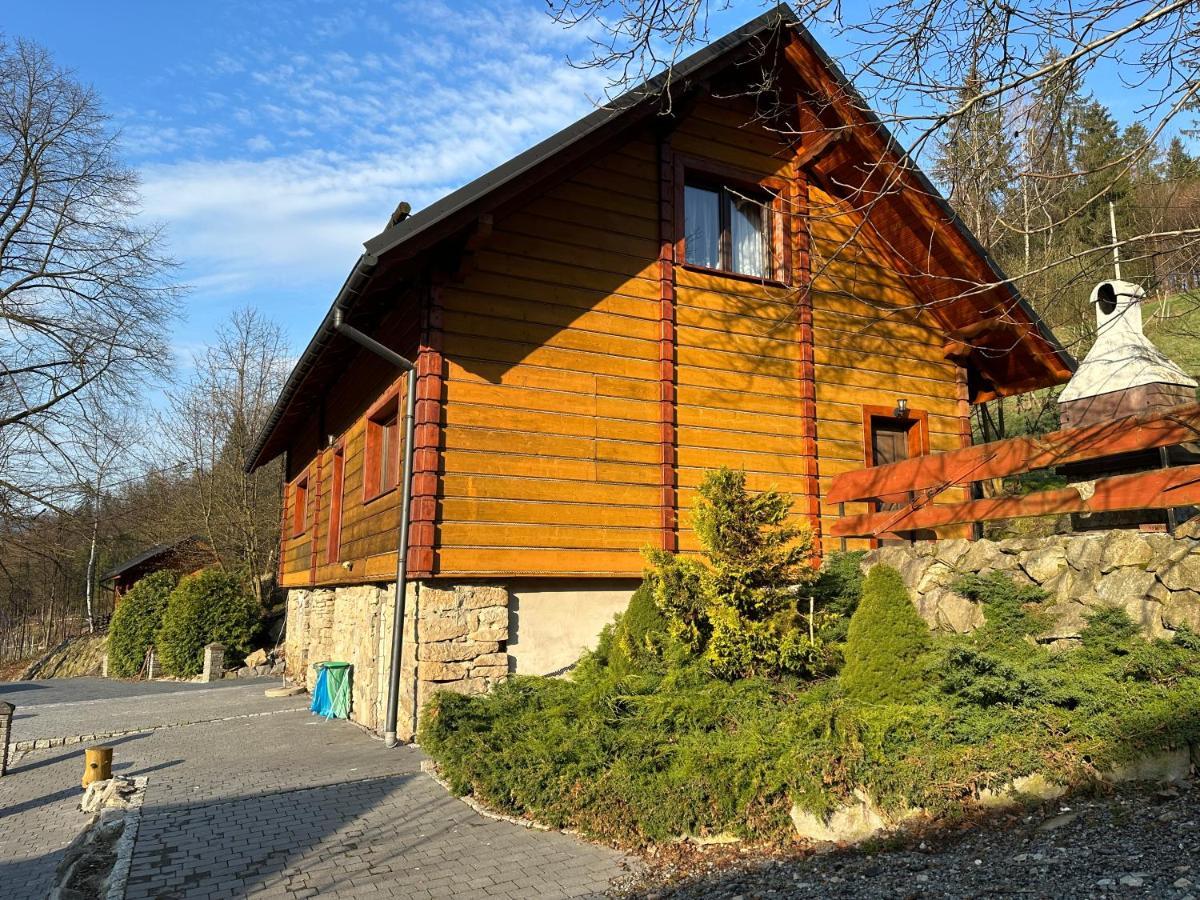 Willa Larysa Agro Wisla Exterior photo